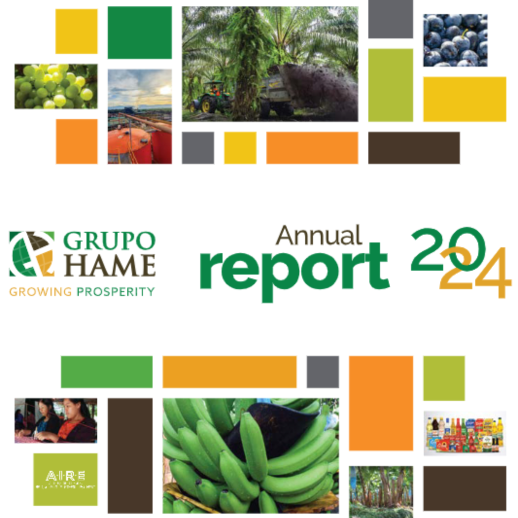 Imagen sobre Annual Report